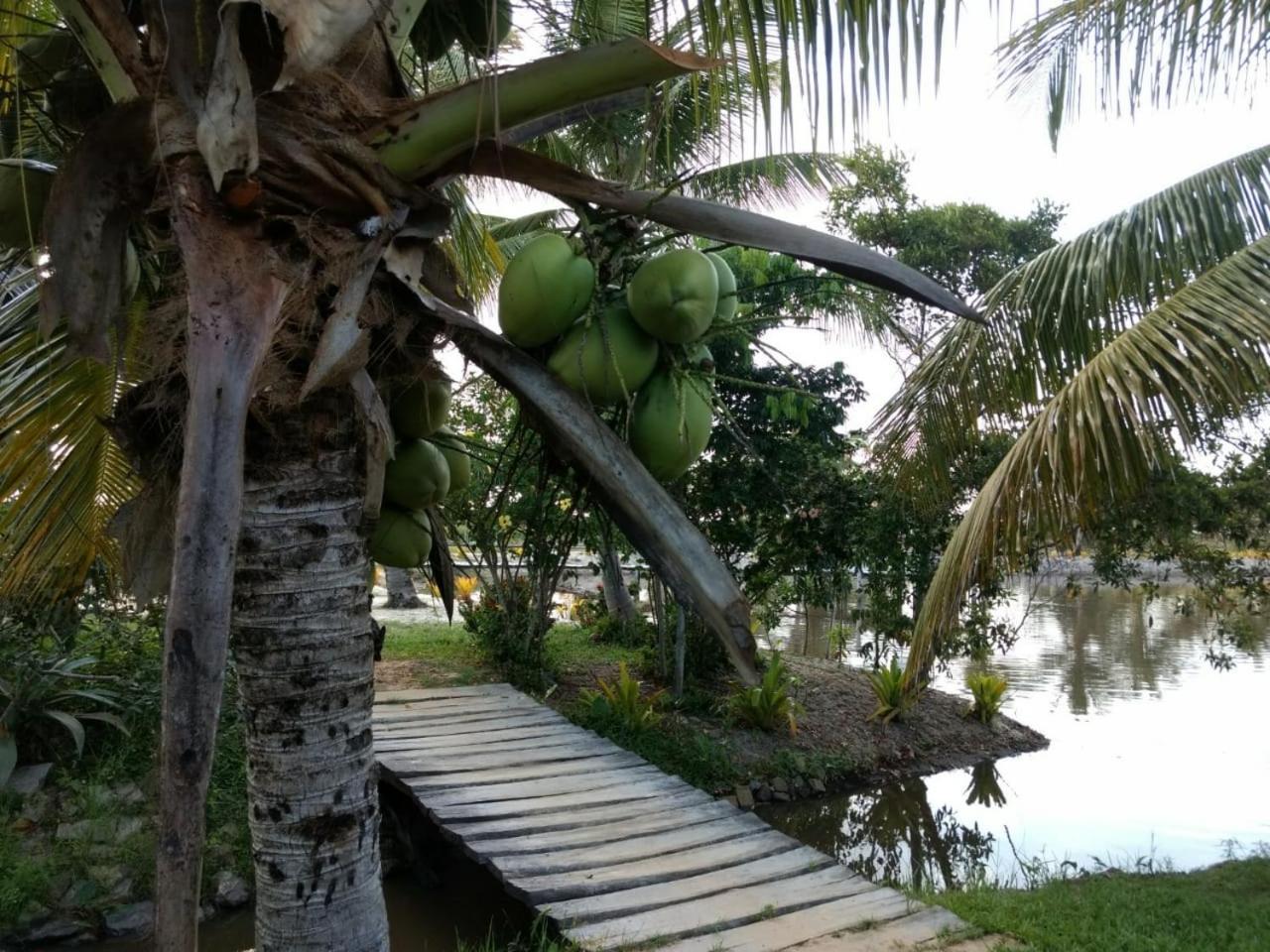 Residencial Lagoa Da Praia Alcobaça Eksteriør bilde